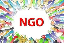 Best NGOs in India for Healthcare and Rural Support