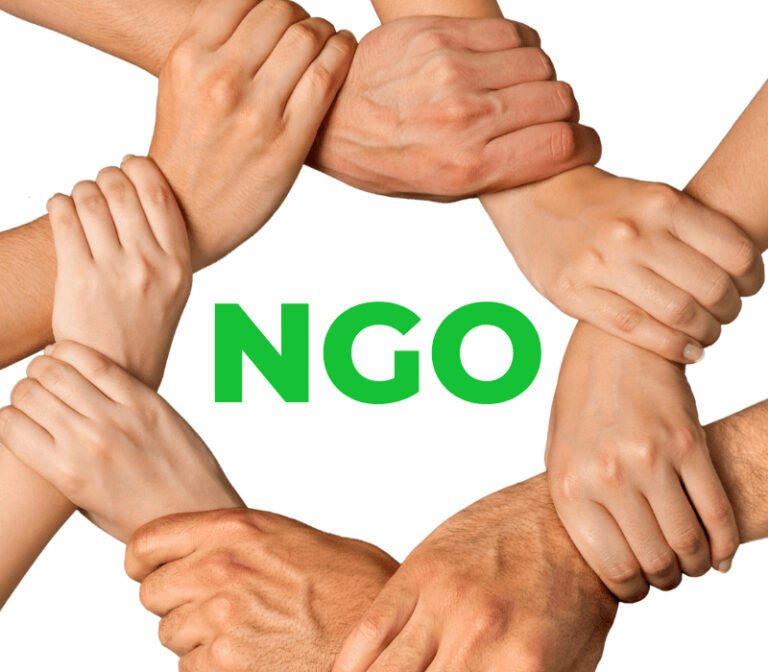 The Unsung Backbone: Role of NGOs in India’s Economy