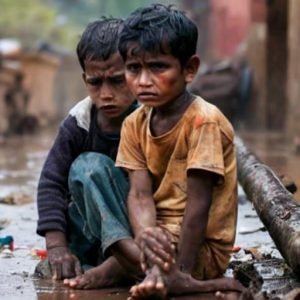 Kotik Foundation vs. Top NGOs in India: What Sets Us Apart
