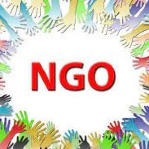 Best NGOs in India for Healthcare and Rural Support