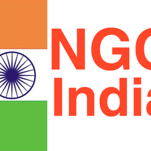 5 Best Non-Profit Organizations in India You Should Support This Year