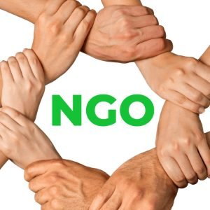 The Unsung Backbone: Role of NGOs in India’s Economy